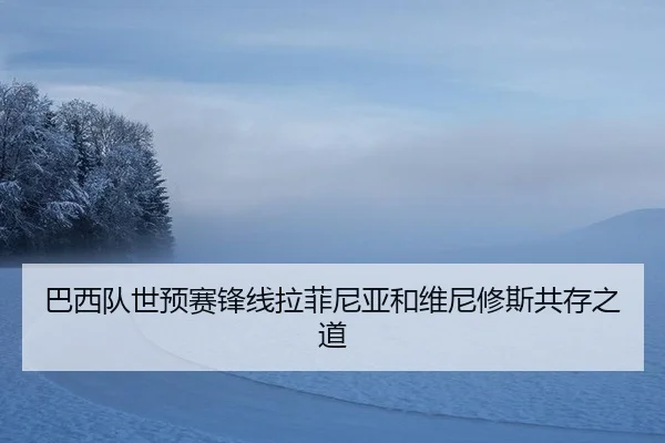 ba-xi-dui-shi-yu-sai-feng-xian-la-fei-ni-ya-he-wei-ni-xiu-si-gong-cun-zhi-dao-2-712.jpg