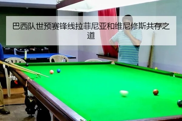 ba-xi-dui-shi-yu-sai-feng-xian-la-fei-ni-ya-he-wei-ni-xiu-si-gong-cun-zhi-dao-3-657.jpg
